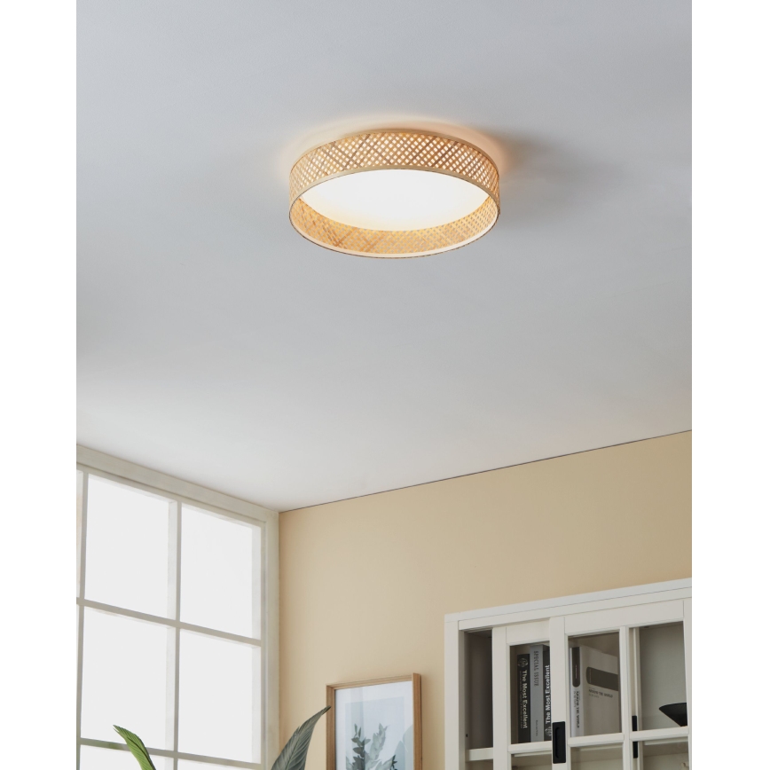 Eglo - LED loftlampe LED/24W/230V