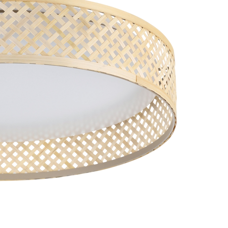Eglo - LED loftlampe LED/24W/230V