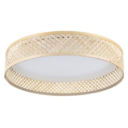 Eglo - LED loftlampe LED/24W/230V