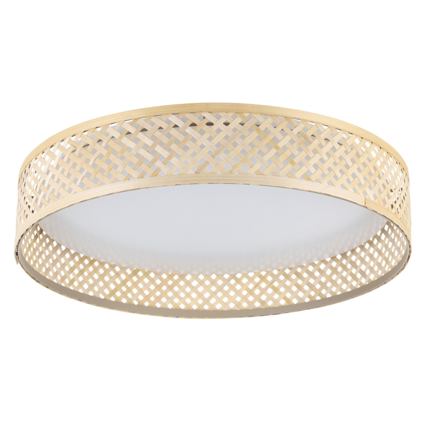 Eglo - LED loftlampe LED/24W/230V