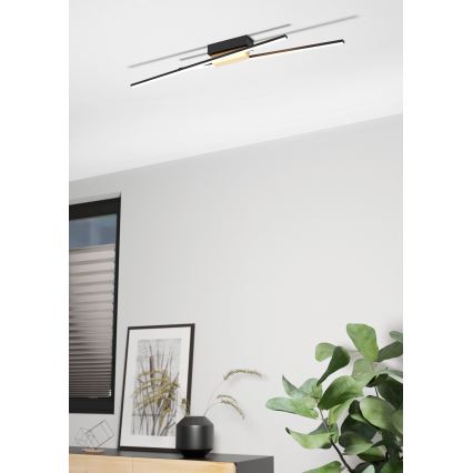 Eglo - LED Dæmpbar loftlampe 2xLED/13W/230V