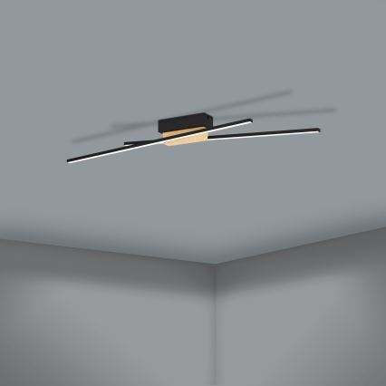 Eglo - LED Dæmpbar loftlampe 2xLED/13W/230V