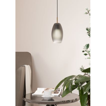 Eglo - Pendel 1xE27/40W/230V