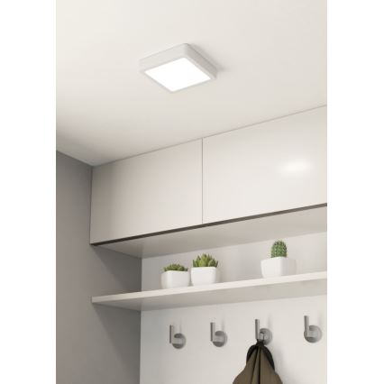 Eglo - LED loftlampe dæmpbar LED/11W/230V hvid