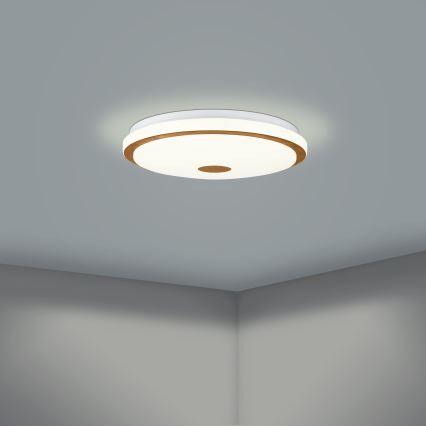 Eglo - LED loftlampe dæmpbar LED/24W/230V + fjernbetjening