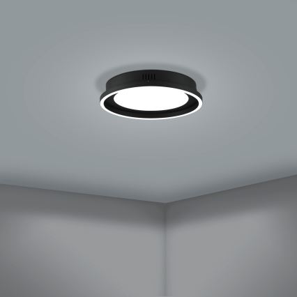 Eglo - LED loftlampe dæmpbar LED/21,5W/230V + fjernbetjening