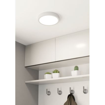 Eglo - LED loftlampe til badeværelse LED/17W/230V hvid IP44