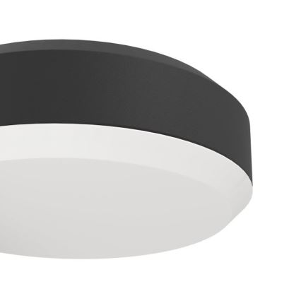 Eglo - Udendørs LED væglampe LED/10,8/230V IP54