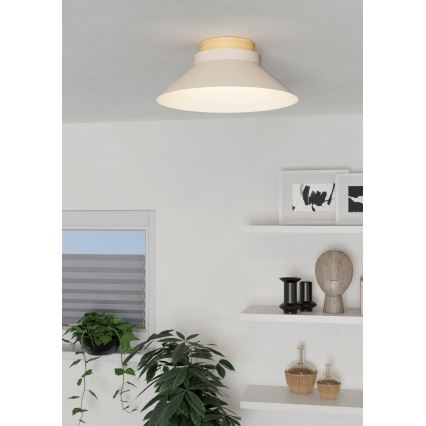 Eglo - Loftlampe 1xE27/40W/230V