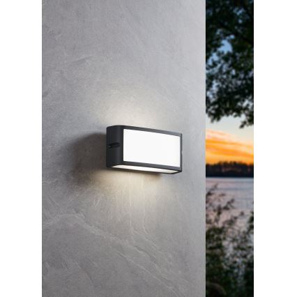 Eglo - Udendørs LED væglampe LED/10,5W/230V antracit IP54