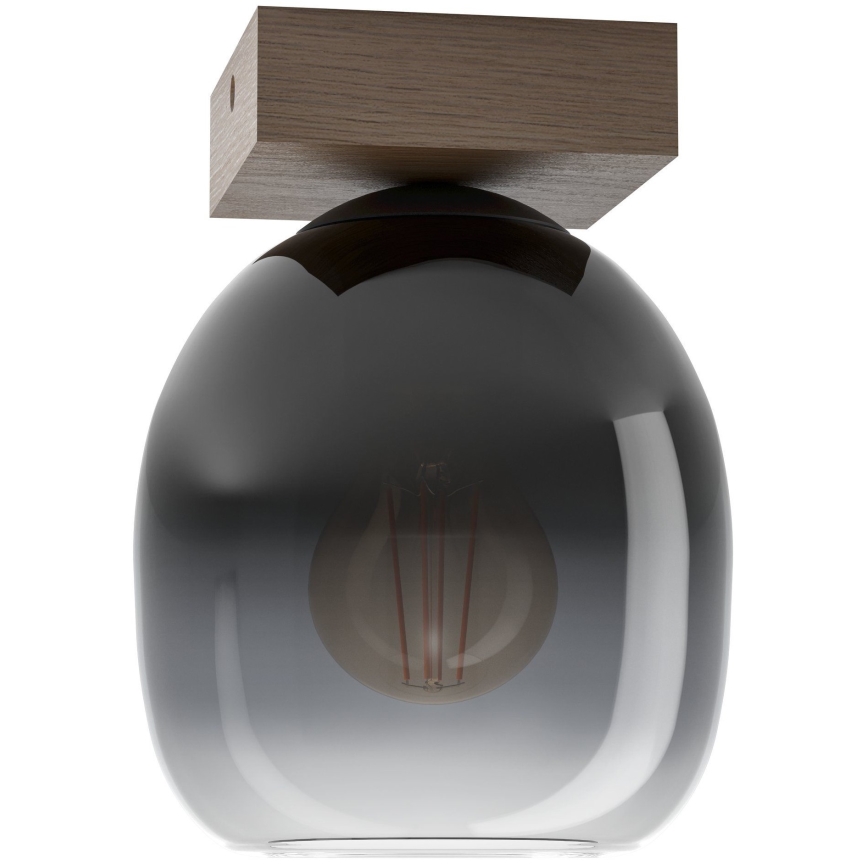 Eglo - Loftlampe 1xE27/40W/230V