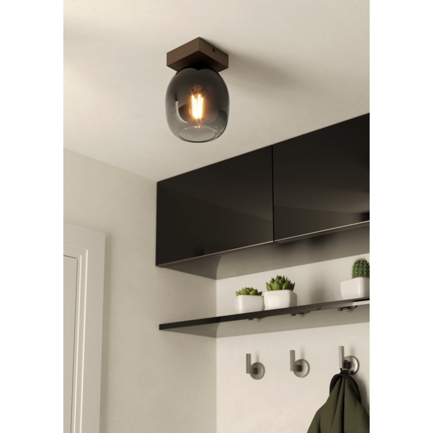 Eglo - Loftlampe 1xE27/40W/230V
