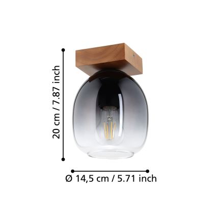 Eglo - Loftlampe 1xE27/40W/230V