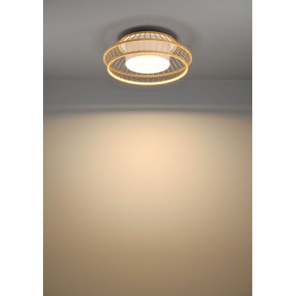 Eglo - LED loftlampe m. RGBW-farver dæmpbar LED/22W/230V 2700-6500K