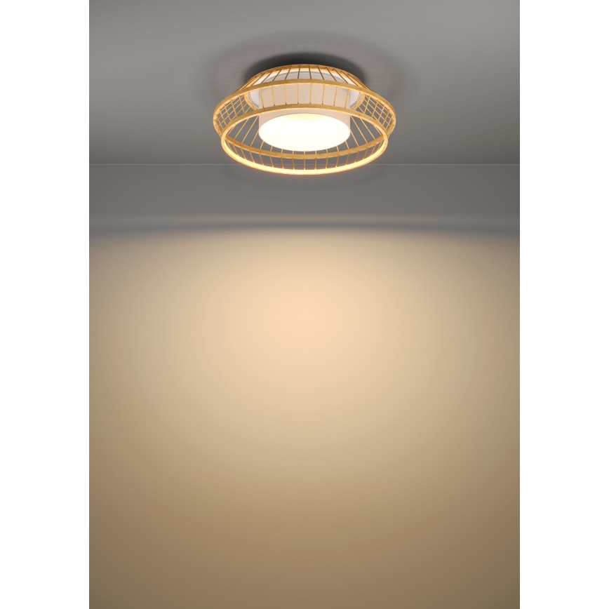Eglo - LED loftlampe m. RGBW-farver dæmpbar LED/22W/230V 2700-6500K