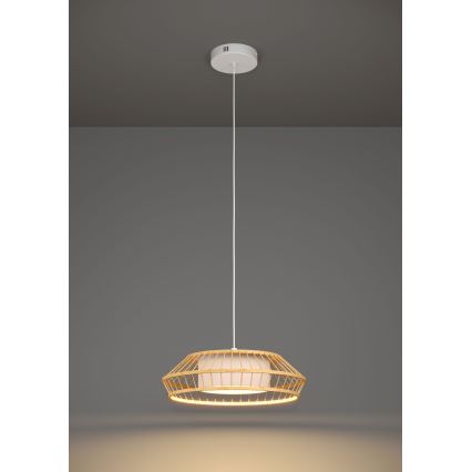 Eglo - LED pendel m. RGBW-farver dæmpbar LED/22W/230V 2700-6500K