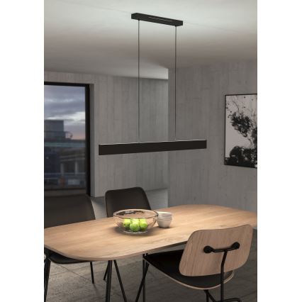 Eglo - LED pendel m. RGBW-farver dæmpbar LED/38W/230V 2700-6500K sort