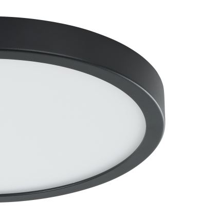 Eglo - LED loftlampe med sensor LED/20,5W/230V 3000K sort