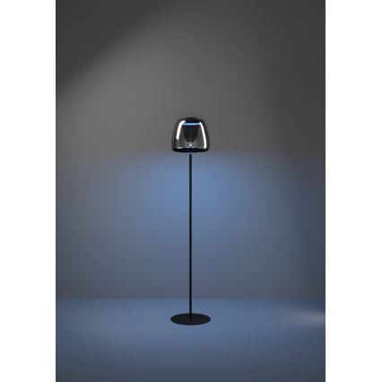 Eglo - LED RGBW dæmpbar gulvlampe LED/15,5W/230V 2700-6500K røgfarvet