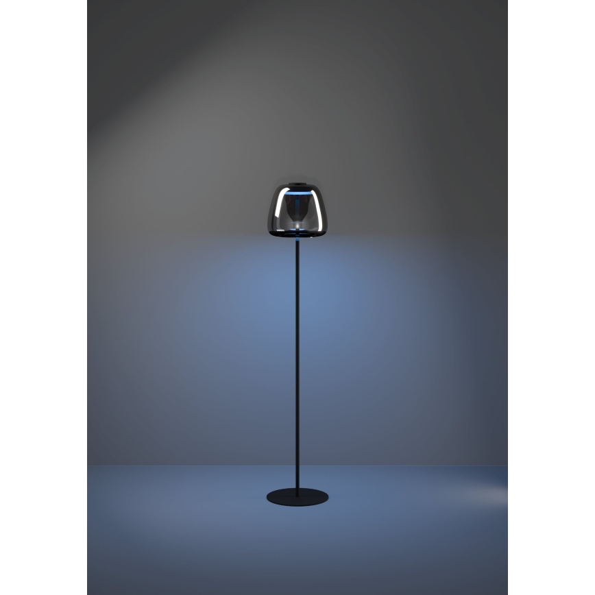 Eglo - LED RGBW dæmpbar gulvlampe LED/15,5W/230V 2700-6500K røgfarvet