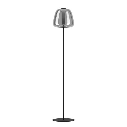 Eglo - LED RGBW dæmpbar gulvlampe LED/15,5W/230V 2700-6500K røgfarvet