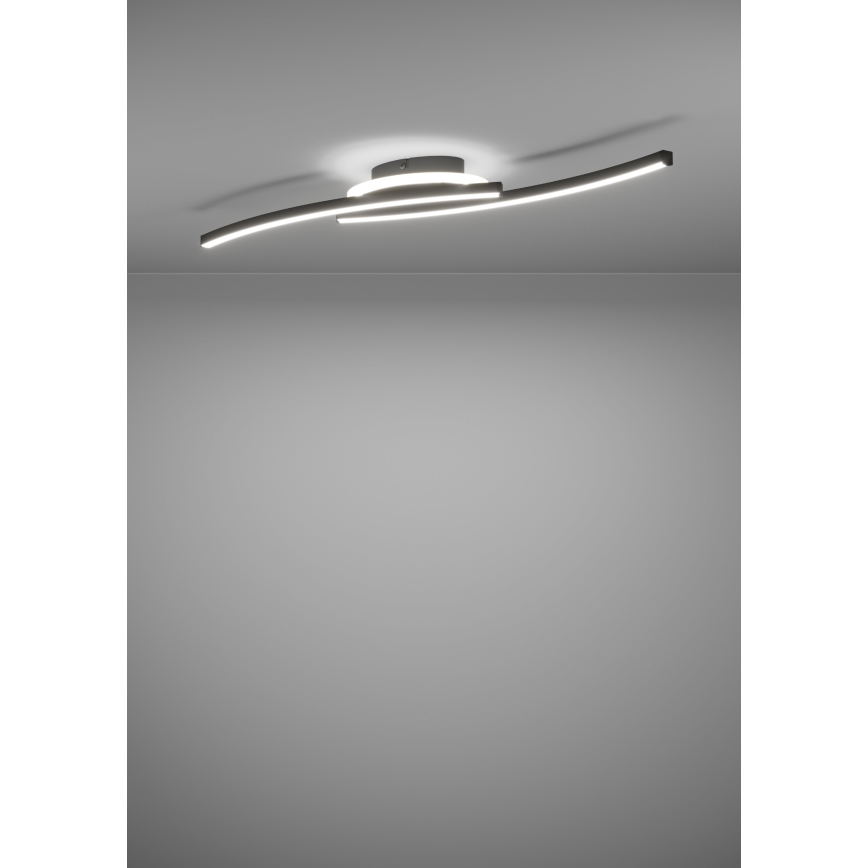 Eglo - LED loftlampe LED/12W/230V 4000K sort