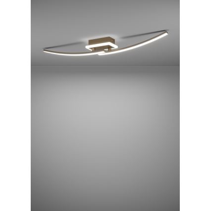 Eglo - LED loftlampe LED/12W/230V 4000K kobber