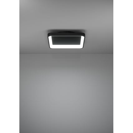 Eglo - LED loftlampe dæmpbar LED/12W/230V 2700-6500K sort + fjernbetjening
