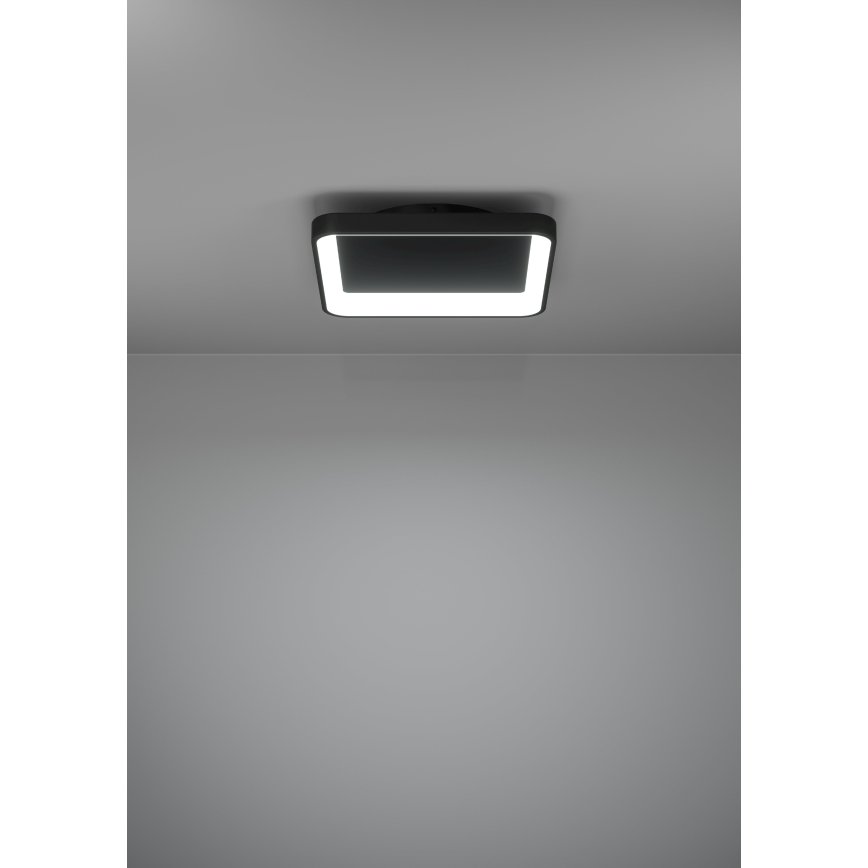 Eglo - LED loftlampe dæmpbar LED/12W/230V 2700-6500K sort + fjernbetjening