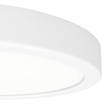 Eglo - LED loftlampe LED/11,5W/230V 2700/4000/6500K Ø 21,1 cm hvid