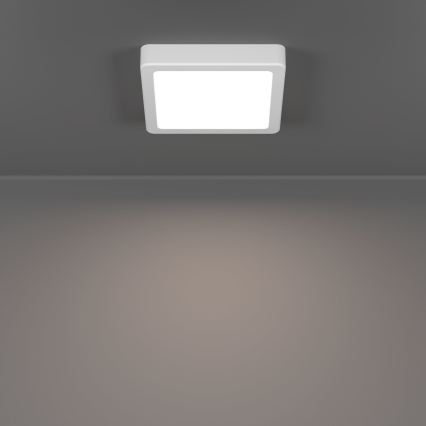 Eglo - LED loftlampe LED/7W/230V 2700/4000/6500K 15x15 cm hvid