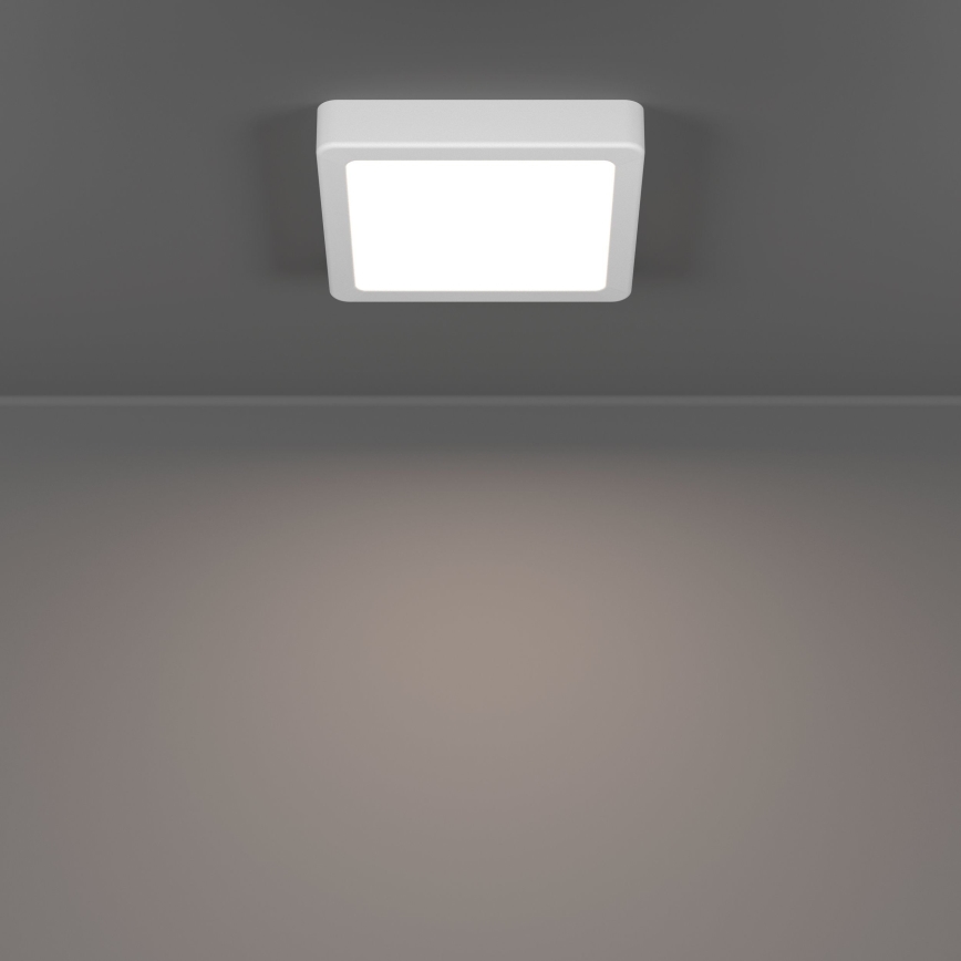 Eglo - LED loftlampe LED/7W/230V 2700/4000/6500K 15x15 cm hvid