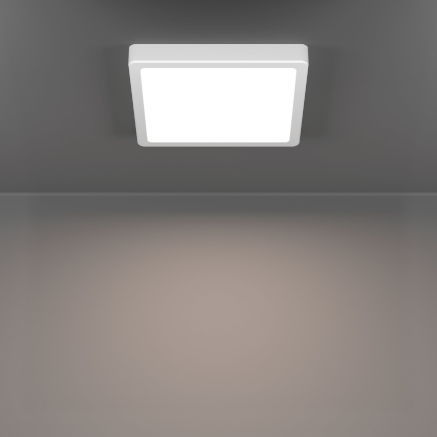 Eglo - LED-loftlampe LED/10,5W/230V 2700/4000/6500K 22x22 cm hvid