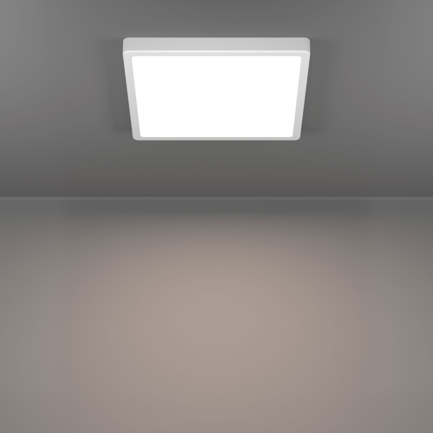 Eglo - LED loftlampe LED/13W/230V 2700/4000/6500K 29x29 cm hvid