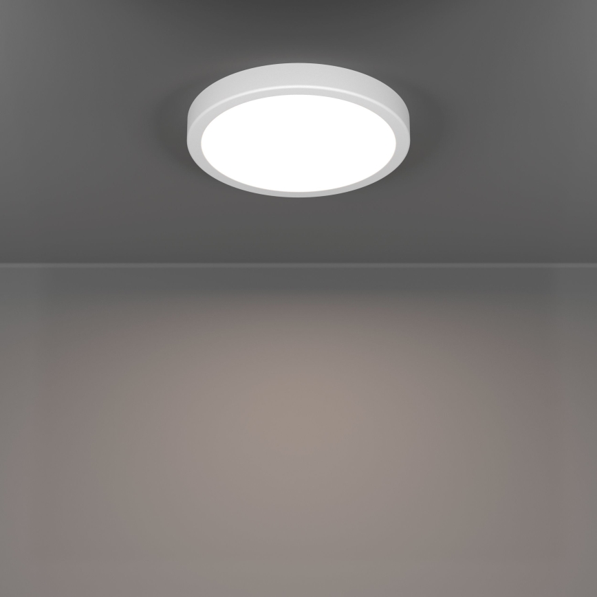Eglo - LED badeværelsesloftlampe LED/11,5W/230V 2700/4000/6500K Ø 21,1 cm IP44 hvid