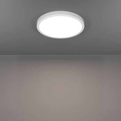 Eglo - LED badeværelsesloftlampe LED/14,2W/230V 2700/4000/6500K Ø 27,8 cm IP44 hvid