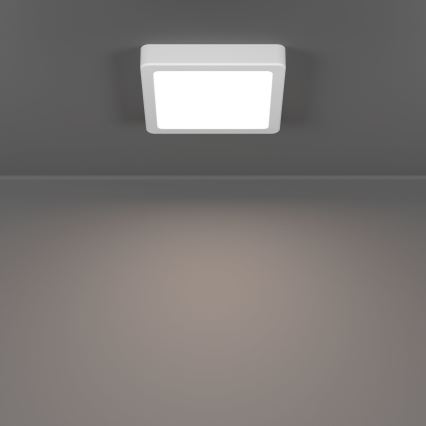 Eglo - LED-badeværelsesloftlampe 7W/230V 2700/4000/6500K 15x15 cm IP44 hvid