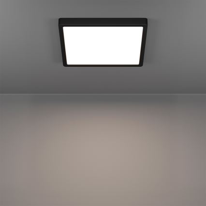 Eglo - LED RGBW dæmpbar loftlampe til badeværelse LED/13,5W/230V 2700-6500K 29,5x29,5 cm IP44 sort