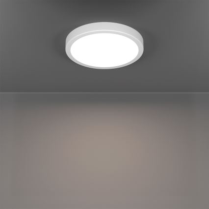 Eglo - LED RGBW Dæmpbar badeværelsesloftlampe LED/11,2W/230V 2700-6500K Ø 21,1 cm IP44 hvid