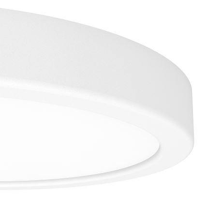 Eglo - LED RGBW Dæmpbar badeværelsesloftlampe LED/11,2W/230V 2700-6500K Ø 21,1 cm IP44 hvid
