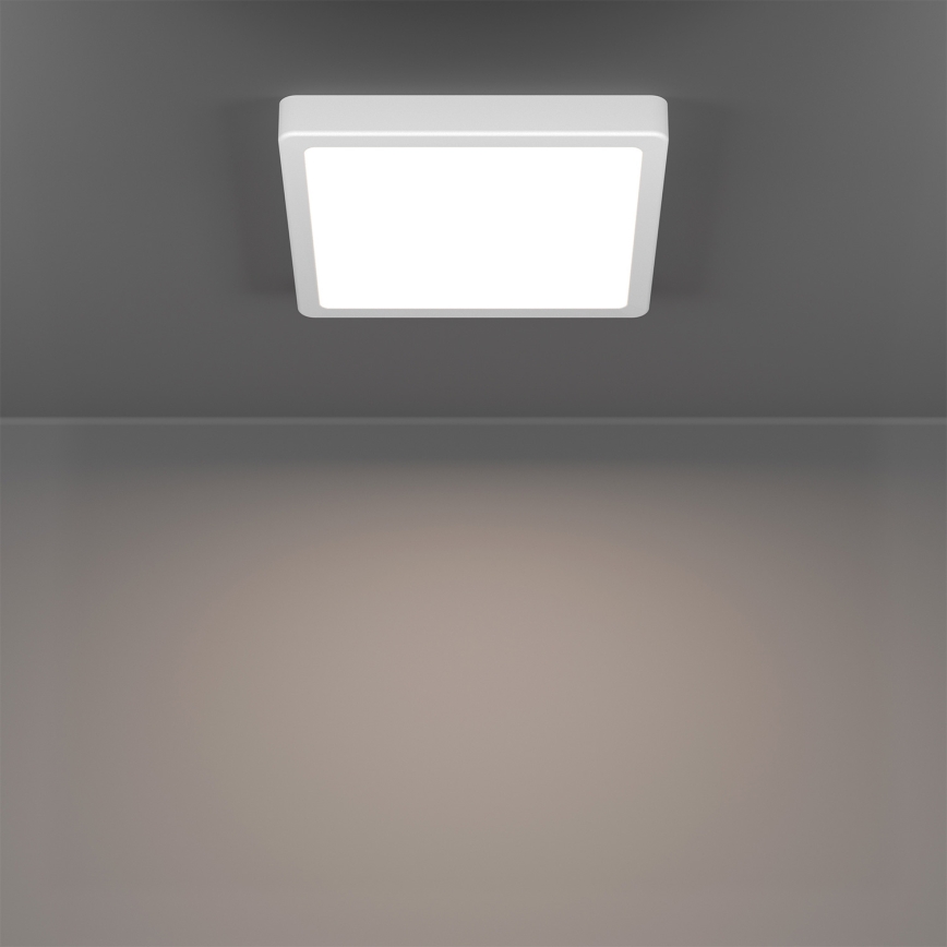 Eglo - LED RGBW dæmpbar badeværelsesloftlampe LED/10,5W/230V 2700-6500K 22x22 cm IP44 hvid