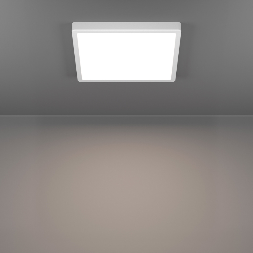 Eglo - LED RGBW Dæmpbar badeværelsesloftlampe LED/13,5W/230V 2700-6500K 29,5x29,5 cm IP44 hvid