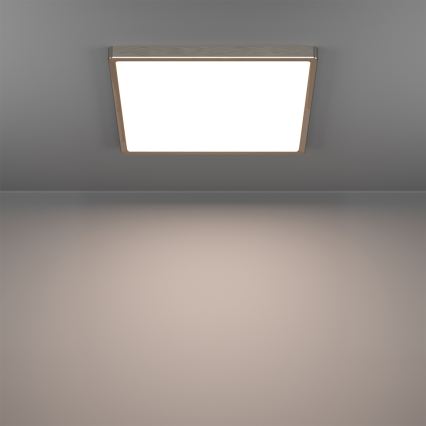 Eglo - LED RGBW dæmpbar loftlampe til badeværelse LED/17,8W/230V 2700-6500K 39x39 cm IP44 mat krom