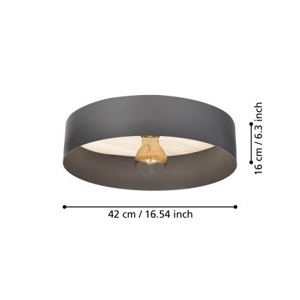 Eglo - Loftlampe 1xE27/40W/230V grå