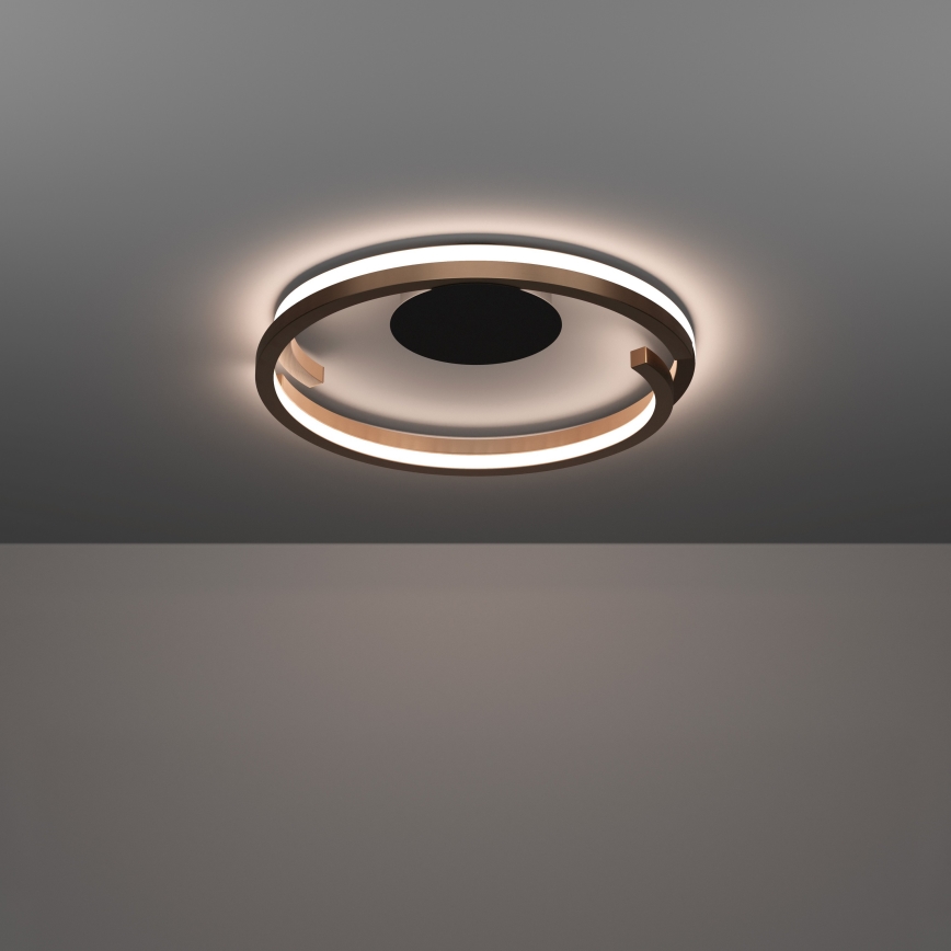 Eglo - LED-dæmpbar loftlampe 2xLED/20W/230V 2700-6500K Ø 48 cm bronzefarvet + fjernbetjening