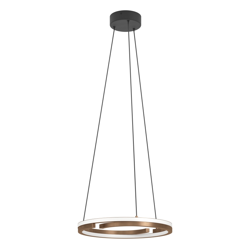 Eglo - LED dæmpbar pendel på kabel 2xLED/20W/230V 2700-6500K Ø 48 cm bronzefarvet + fjernbetjening
