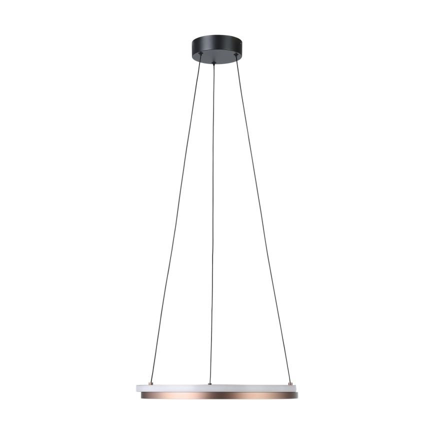 Eglo - LED dæmpbar pendel på kabel 2xLED/20W/230V 2700-6500K Ø 48 cm bronzefarvet + fjernbetjening