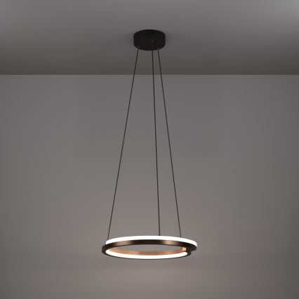 Eglo - LED dæmpbar pendel på kabel 2xLED/20W/230V 2700-6500K Ø 48 cm bronzefarvet + fjernbetjening