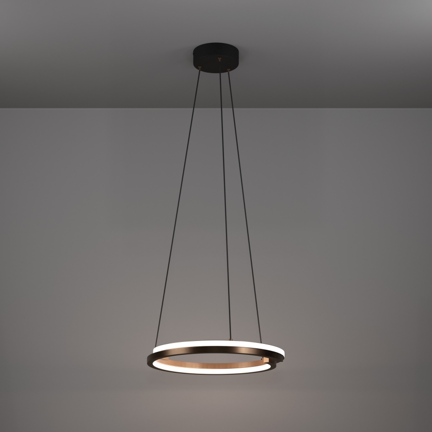 Eglo - LED dæmpbar pendel på kabel 2xLED/20W/230V 2700-6500K Ø 48 cm bronzefarvet + fjernbetjening