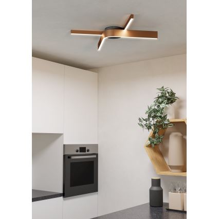 Eglo - LED RGBW dæmpbar loftlampe 2xLED/18W/230V kobber/sort